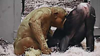 KAISERISAIAHFOO TWIXTOR/SCENEPACK FOR EDITS