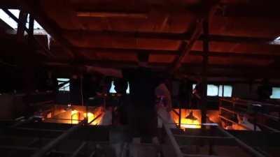 Uninvited vegan Sparta kicked by annoyed farmer