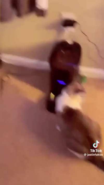 He kinda ate with this one🤷🏻‍♀️