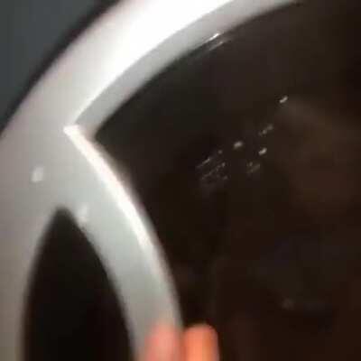 Stepsister >>> stepbrother