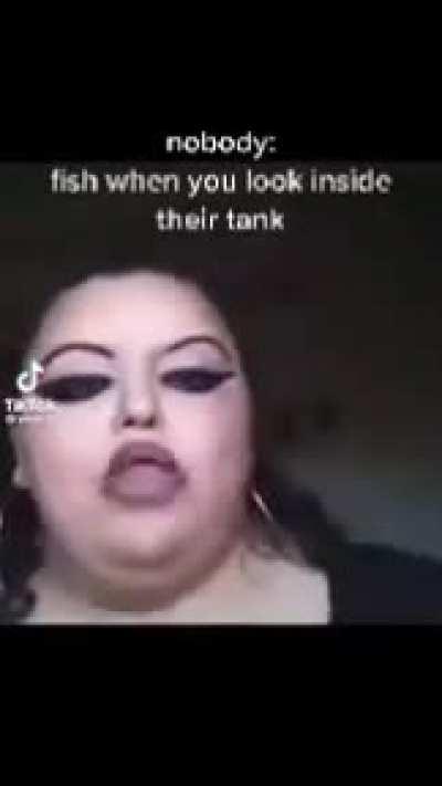 fish be like