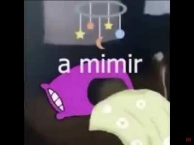 Así es como se duerme Reven 😳😴