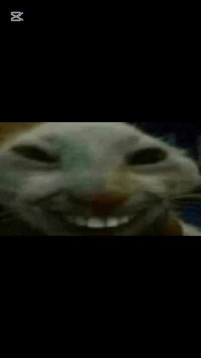 I did it my way pt.2