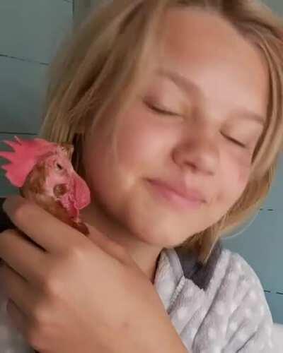 Happy chicken being cuddled