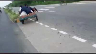 These Traveller sulky races are getting out of hand.