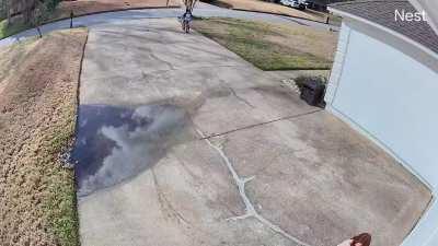 My little bros driveway camera captured gold.