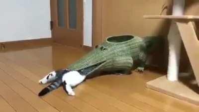 One day my curiosity will kill me.