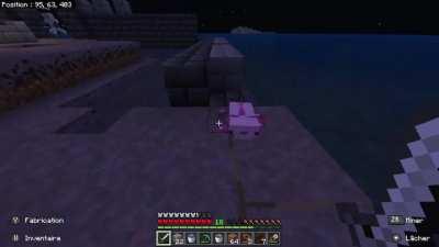 So my axolotl is immortal ? happened in pure survival with no cheats on, i tried to kill him but... he refused to die. He even resist to lava.