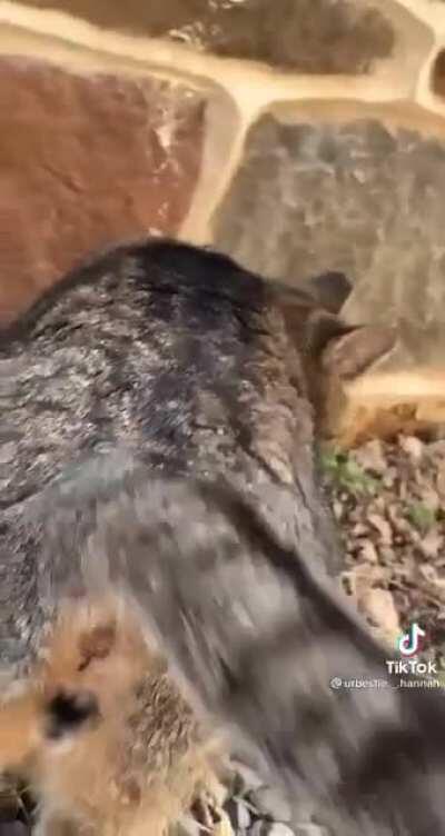 The fear in that mouse's eyes