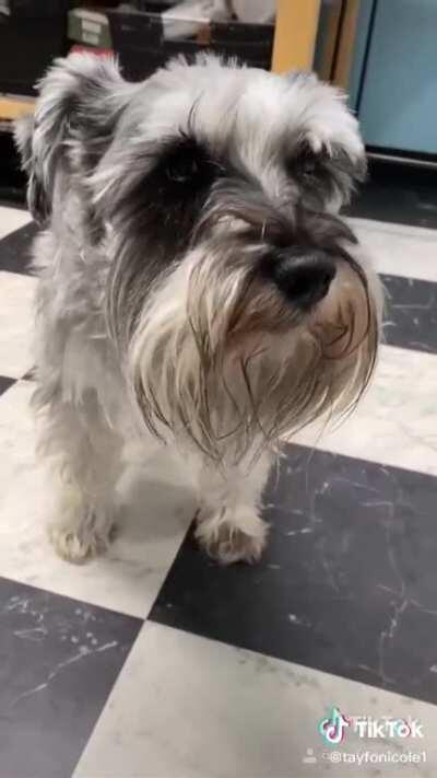 Looking for a directive to help work out who ate the spaghetti.