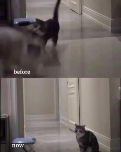 Life is not the same without your loved ones