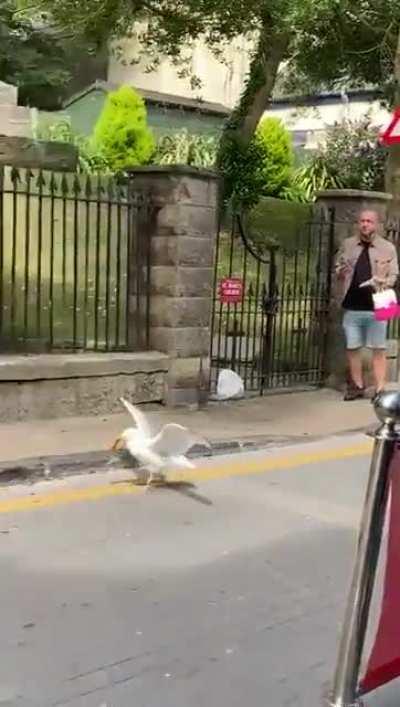 Kenny thinking he has all the tendies...