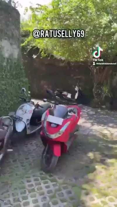 Real quick on how to get deported