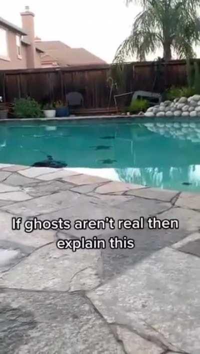 Ghost do exists . 🐶