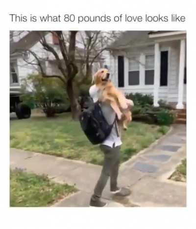 The best welcome home