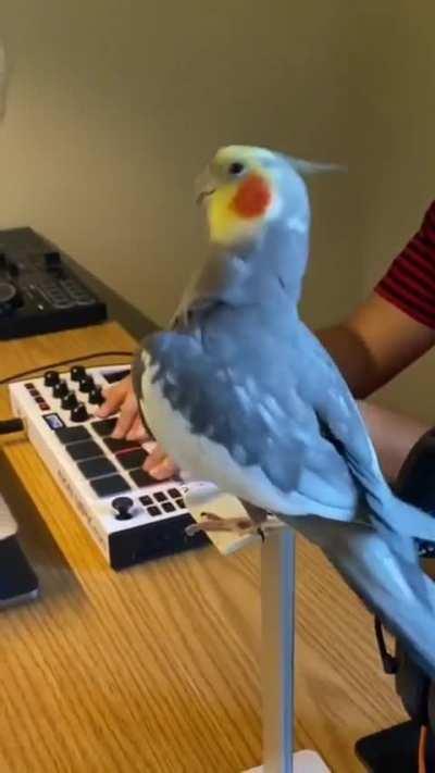 Amazing Singer🤯😲.. can you sing like that...?