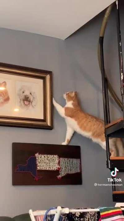 Don't be a menace to society