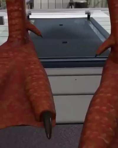 Im scared of ducks now