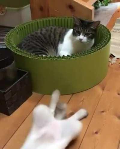 She wasn’t expecting that hit