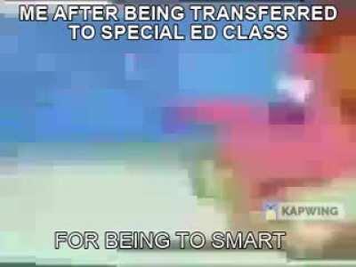 My dog tore say I hav down artism😎