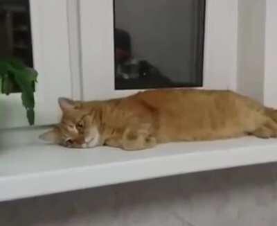 Wakes up for another day be like 2meirl4meirl