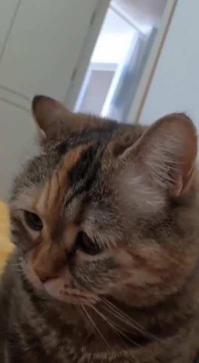 Give him everything he wants ð¿