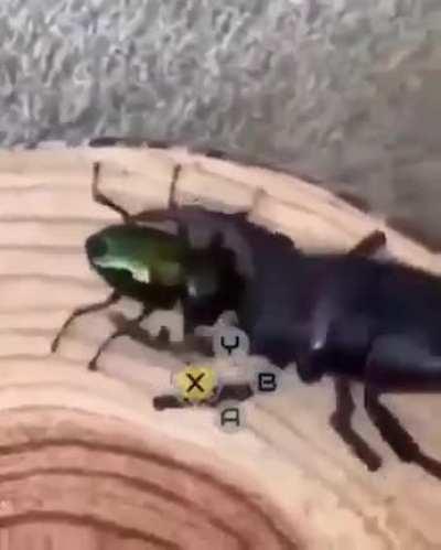 Metal Gear: R(ule)ising