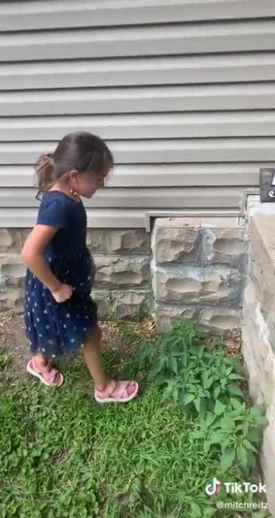 how? kids never fail to make me shake my head