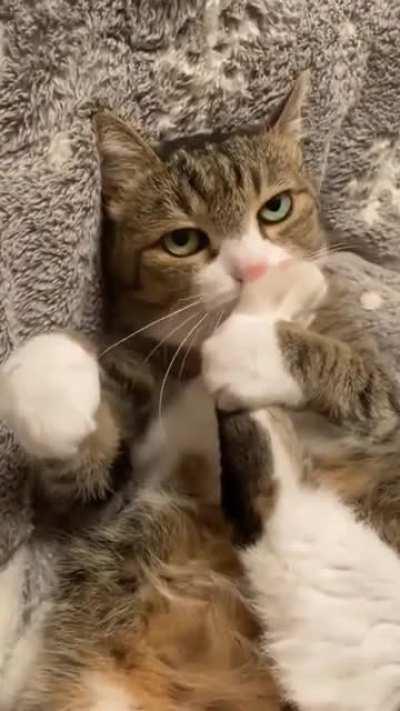 Nobody will love you until you love yourself