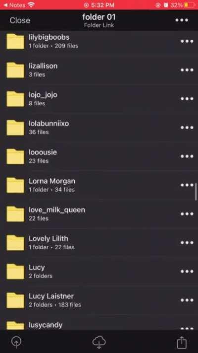 Who y’all need $5 each $25 the whole folder