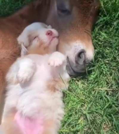 Хорошо-то как!