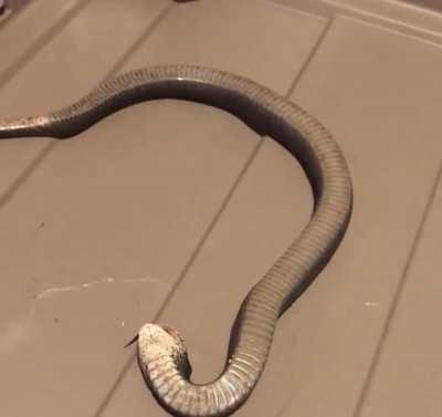 Here is one of the best actors of his genre.