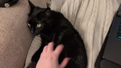 Yes you can have my hand pretty girl 🖤