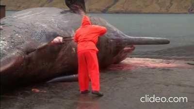 Why the fuck did it have to be me??