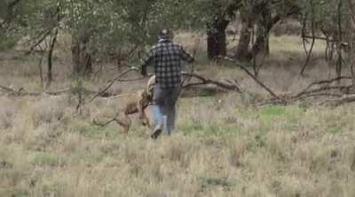 WCGW if i put an australian owner's dog in a chokehold