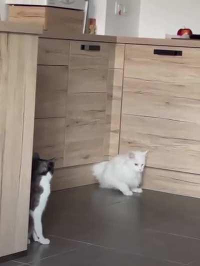 “Be like water” - Bruce lee