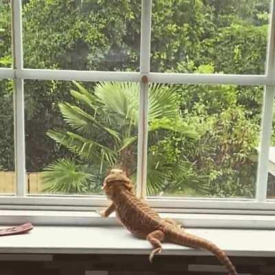 Rain watchin’ 🌧