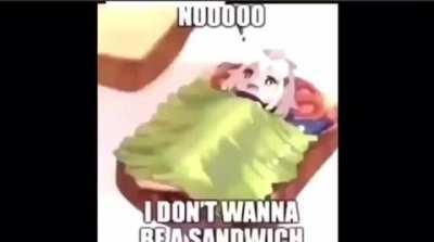zawdwich