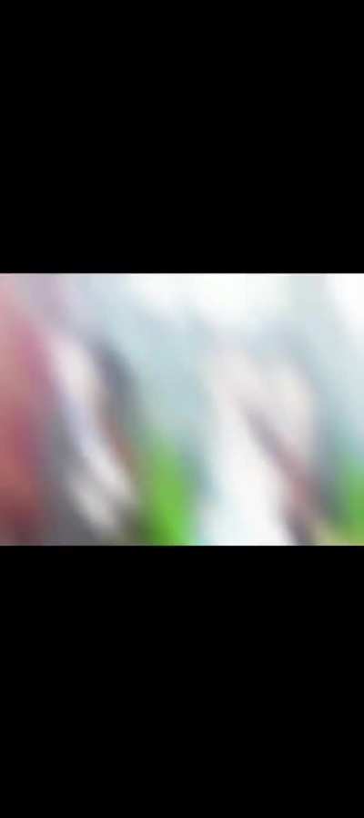 The best of the best