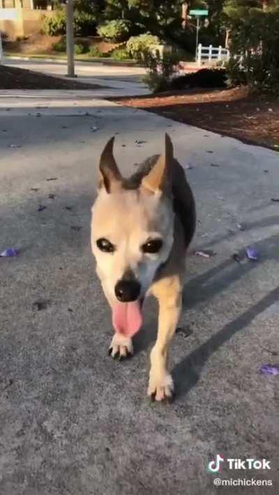 WARNING: You're going to cry your eyes out.