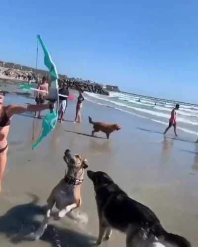 and he was never seen again