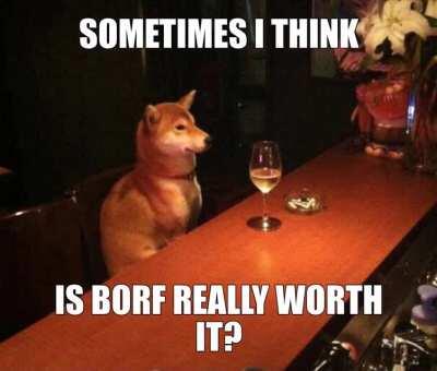 YOU KNOW....DOGE REALLY BE KINDA SAD DOE.....