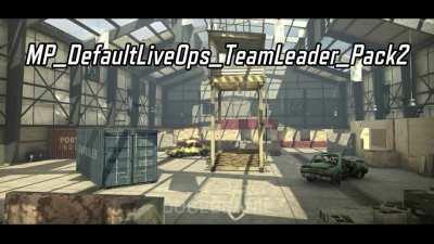 All unused team leader voicelines(Credits to Dogebeanie)