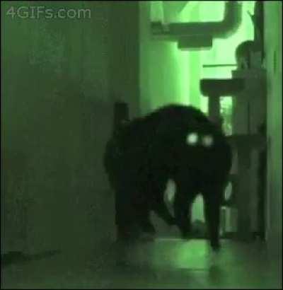 POV: you’re a greeble witnessing an incoming attack