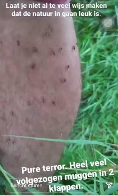 My friend doing fieldwork