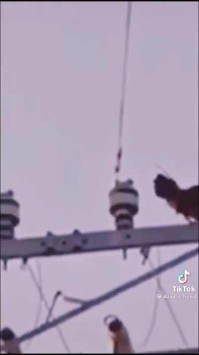 Everything is wrong with this!