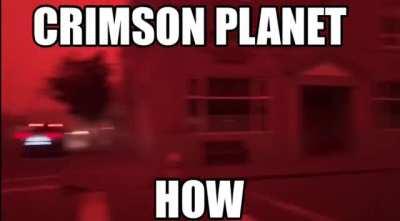 ❗️POTENTIALLY OFFENSIVE MEME❗️