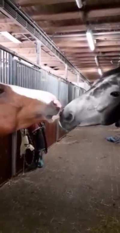 Любовь это...