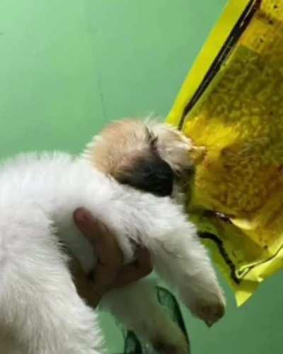 I don't know what to put here...