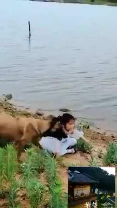 Mama dog is an awesome nanny